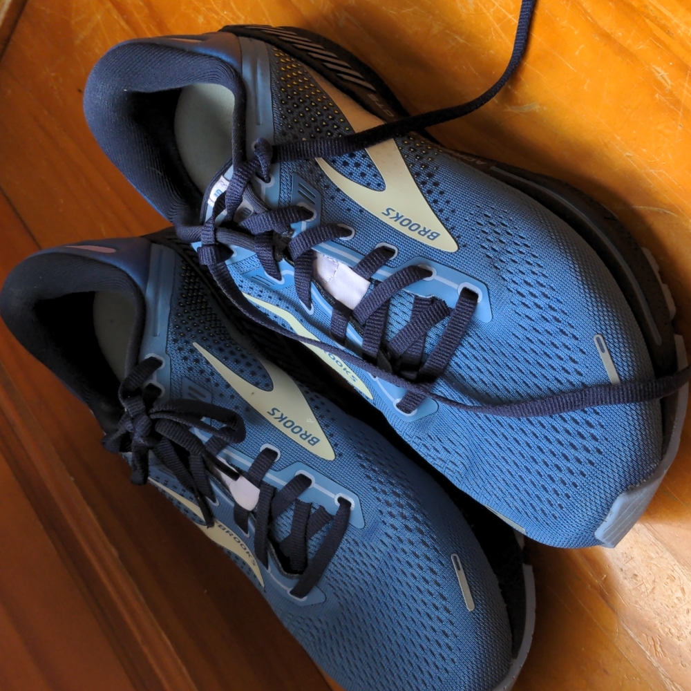 Brooks women's Adrenaline GTS 22